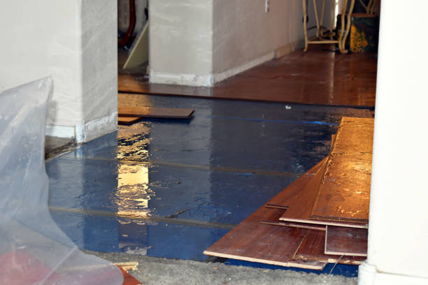 Professional Basement Flooding technician working in Moreland, ID